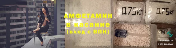 apvp Алзамай