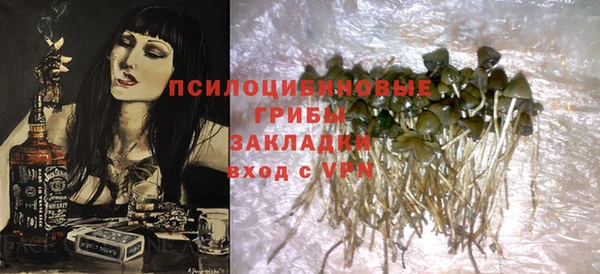 эйфоретик Алексин