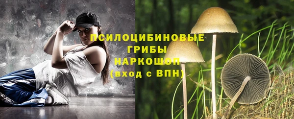 эйфоретик Алексин