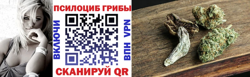 Псилоцибиновые грибы Magic Shrooms  цена   Строитель 