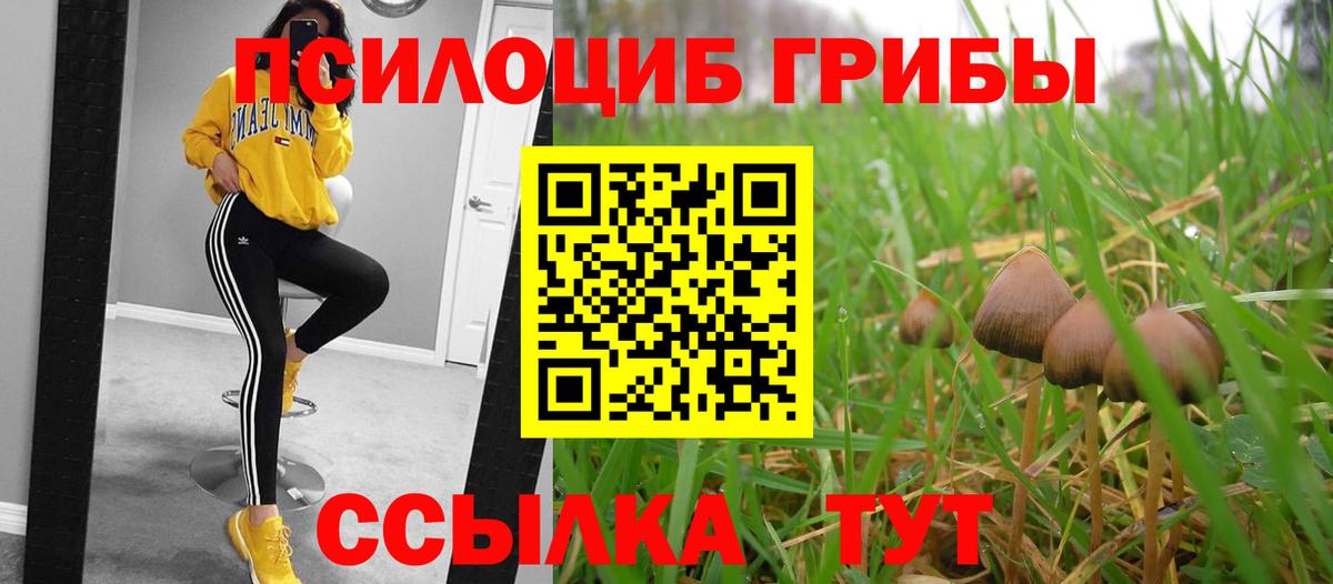 Галлюциногенные грибы MAGIC MUSHROOMS  Вход с VPN  Строитель 
