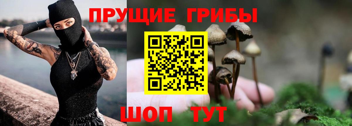 Галлюциногенные грибы Psilocybine cubensis Строитель